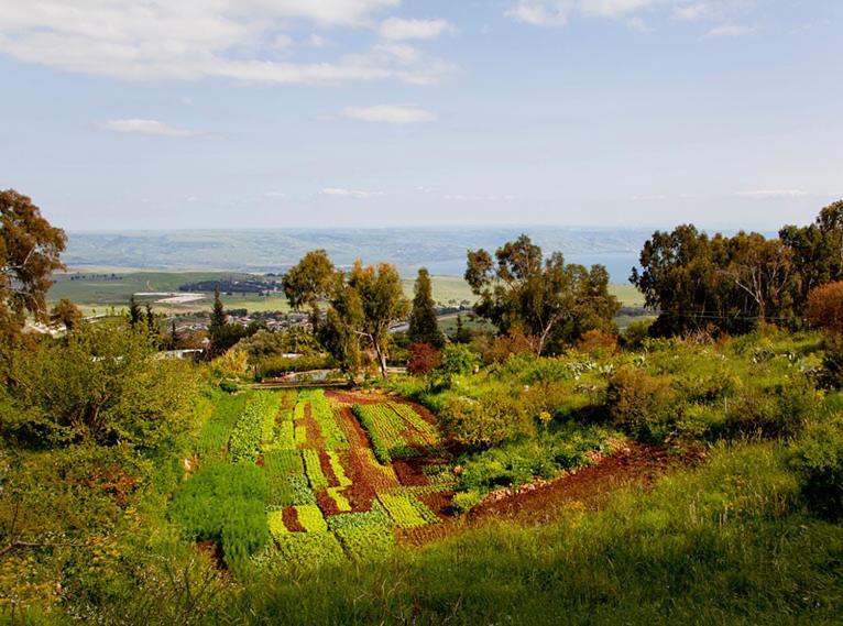 Mizpe Hayamim By Isrotel Exclusive Рош-Пінна Екстер'єр фото